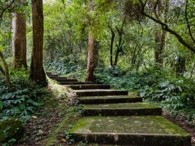 电视如何接收手机投屏