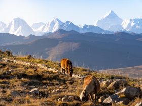 电视与手机投屏指南