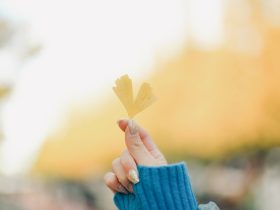 笔记本手机投屏指南