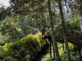 荣耀手机投屏到荣耀电脑指南