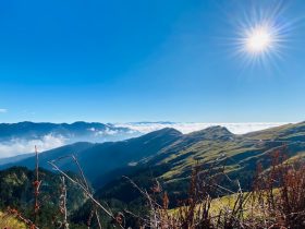 荣耀手机投屏电脑指南