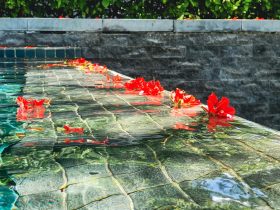 Win10如何使用DLNA进行投屏