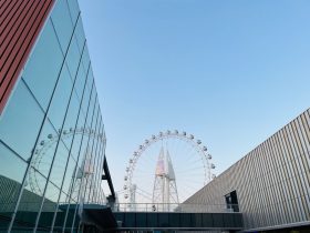 如何将手机投屏到电脑上播放：完全指南