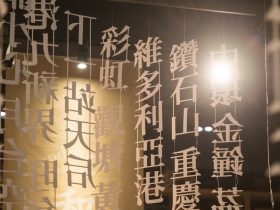 荣耀手机和电脑投屏教程