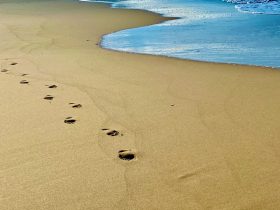 荣耀手机投屏指南