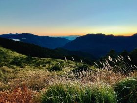 开直播怎么投屏手机：轻松提升直播体验