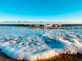 如何在Win10系统下实现无线投屏到投影仪