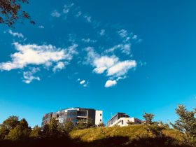 如何在B站上进行电影投屏