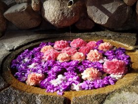 Windows 11投屏手机完全指南