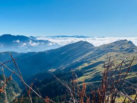 如何设置荣耀手机投屏到电视