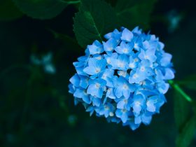 如何打开电视的无线投屏功能