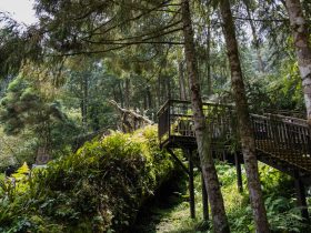 安卓手机投屏指南