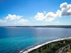 车载投屏怎么连接手机