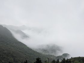 电视没有网络手机可以投屏吗