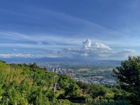 如何将手机投屏到电视