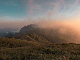 如何打开电视投屏功能？