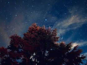 探索酷喵投屏：让您的内容更精彩