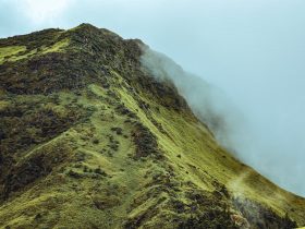 奇异果投屏：拓展娱乐体验的新方式