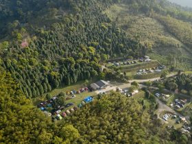 免费投屏视频软件推荐