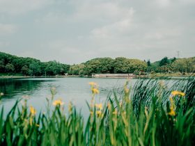 Win10无线投屏：设置步骤、优势与劣势