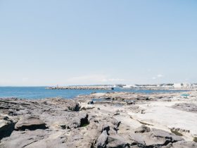 海尔电视如何投屏连接手机