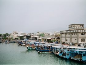 如何电视投屏手机屏幕