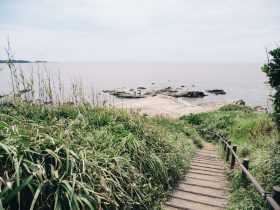 海尔电视手机投屏指南