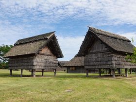 爱投屏手机版:让投屏更简单更便捷