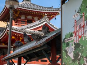 21款卡罗拉手机投屏教程