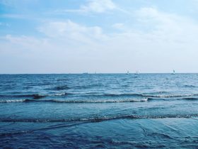 海尔电视怎么和手机连接投屏:全攻略