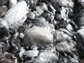 电视咋投屏手机：一步步享受大屏幕