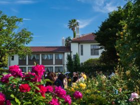 如何将手机成功投屏到CHiQ电视