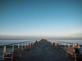 如何实现飞利浦电视投屏：一站式解决方案