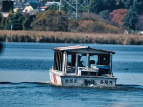 康佳电视如何手机投屏：一步到位的流畅体验