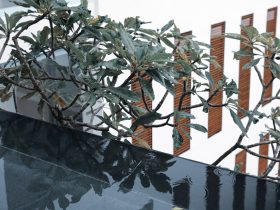 电视怎么接受手机投屏 教程