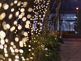 Win11手机投屏至电脑指南