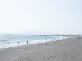 海尔电视如何手机投屏