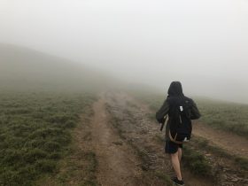 探索koogold无线投屏器:实现高效投屏体验